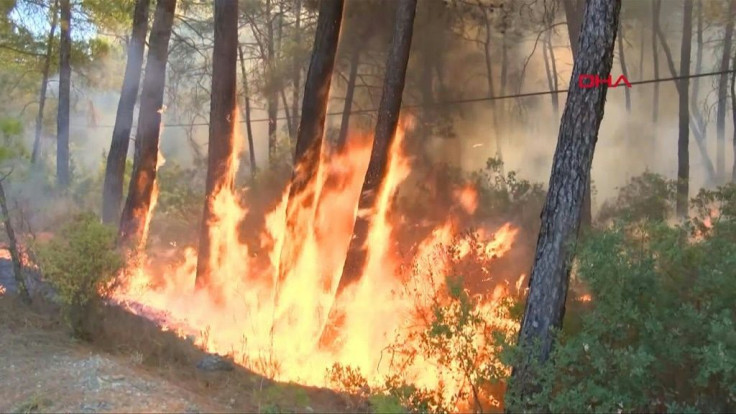 Fire crews continue to battle wildfires in Turkey