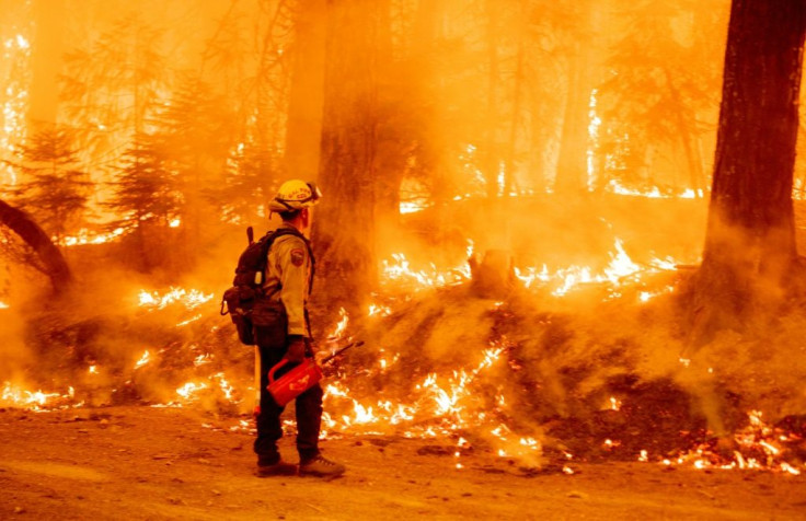It is now understood that climate change involves not just higher temperatures, but also more intense and frequent extreme events like heatwaves that spark wildfires