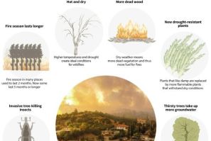 How climate change can make wildfires worse