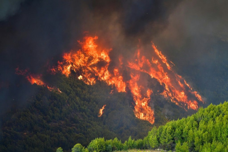 Flames near Olympia, the birthplace of the Olympic Games where the mayor pleaded for back-up