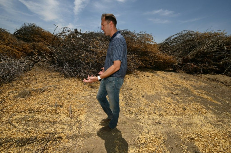 'There is not enough water on the market' to keep the almond trees alive, said Daniel Hartwig, in charge of water management for the mega-property of Woolf Farms