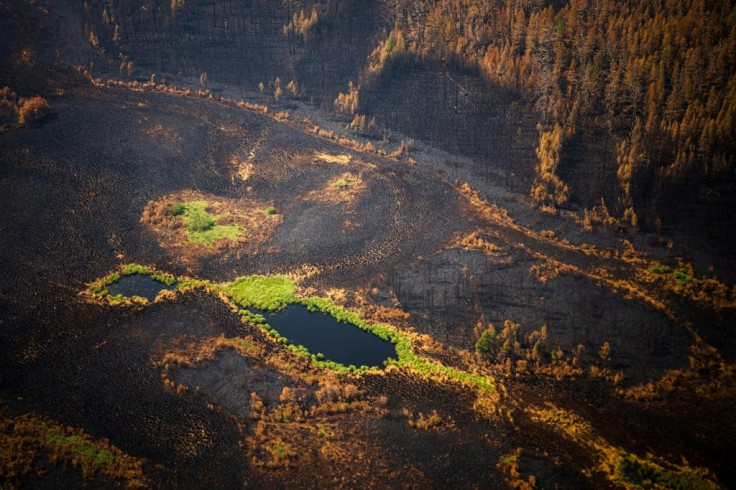 On several days this summer, the temperature in Yakutia reached 39 degrees Celsius (102 degrees Fahrenheit)