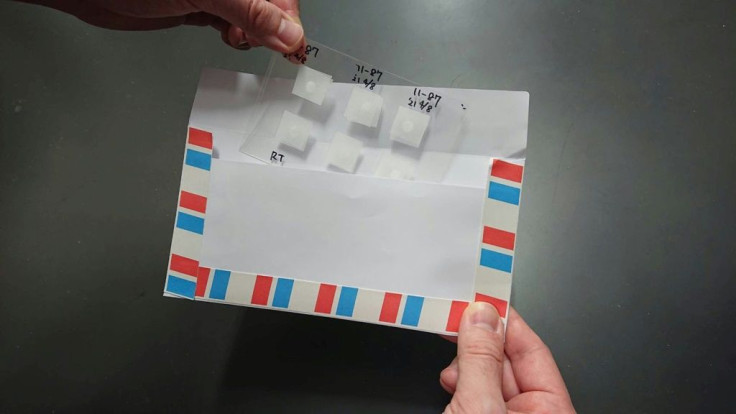 Researchers in Japan have developed a way to freeze dry rodent ejaculate between thin plastic sheets and sticky tape it to postcards, with the samples surviving long journeys to produce healthy pups