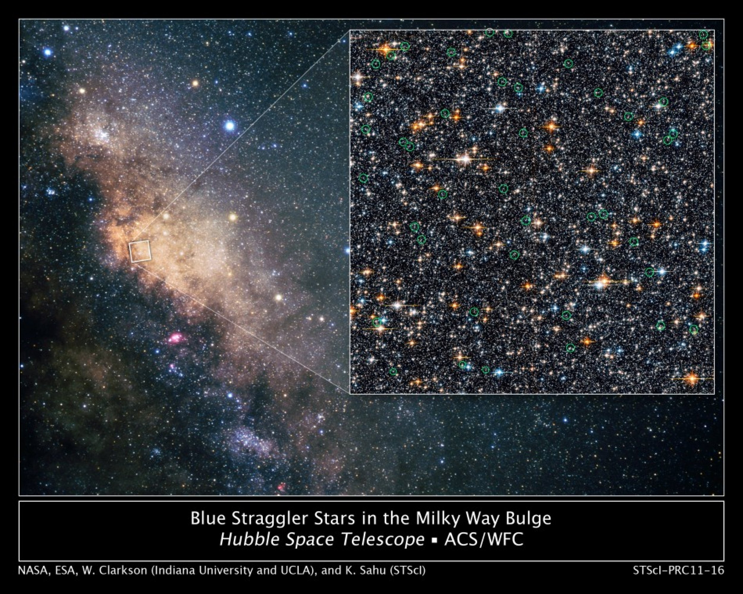 Hubble Finds Blue Straggler Stars in the Galactic Bulge.