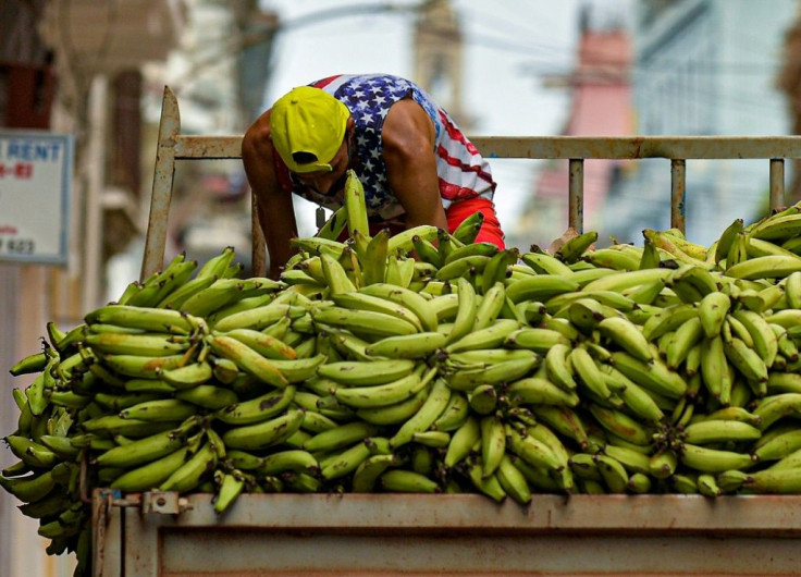 Roughly 600,000 Cubans are estimated to be working in the private sector, about 13 percent of the workforce