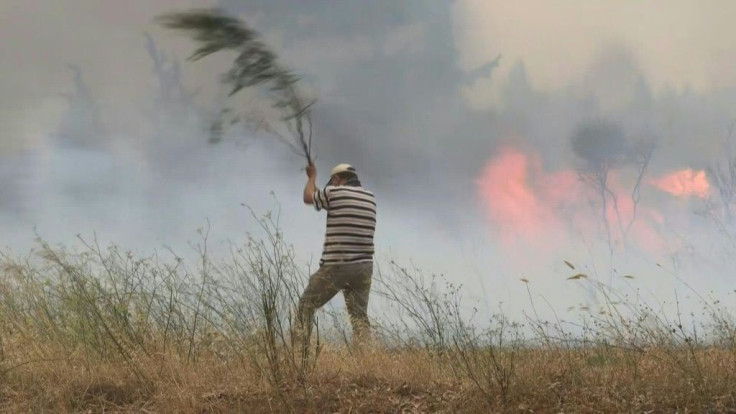 Local residents are trying to put out wildfires as they reach the first houses in Krioneri town, just north of Athens.
