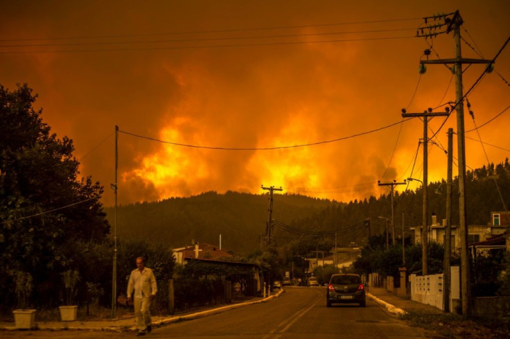 The thick pine forests on Evia which made it appealing to tourists have turned in into a nightmare for firefighters.