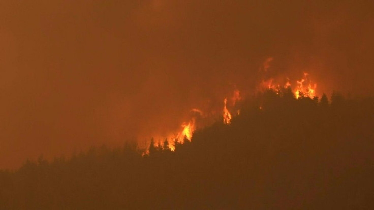 Wildfires blaze on the Greek island of Evia