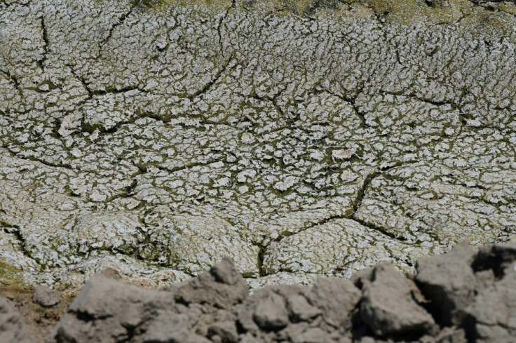 Years of low rainfall in a warming world have desiccated farm fields like this one, near Fresno, California