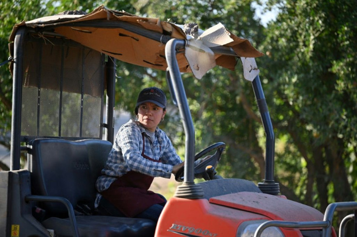 Liset Garcia drives a tractor on her farm in Reedley, California -- the drought situation, she says, is 'pretty terrible'