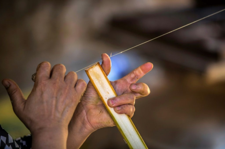 To make paper, wire is used to cut the stems into thin strips, which are immersed in water and then layered on top of each other to create sheets