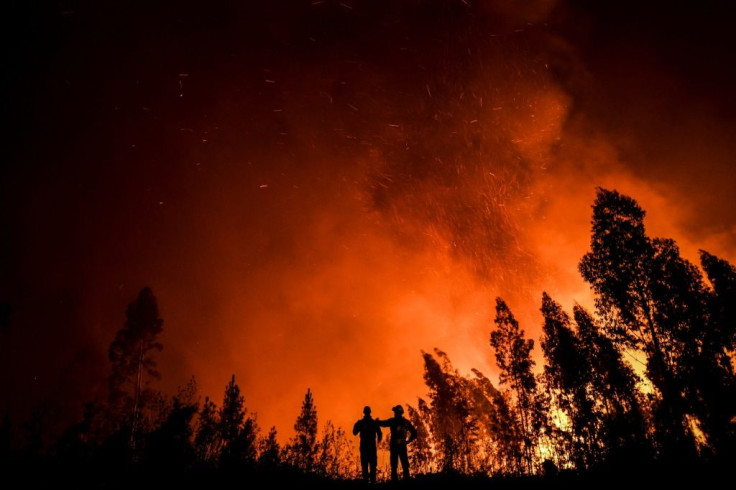 "This report is a reality check," said Valerie Masson-Delmotte, who co-led hundreds of scientists in reviewing a mountain of published climate science