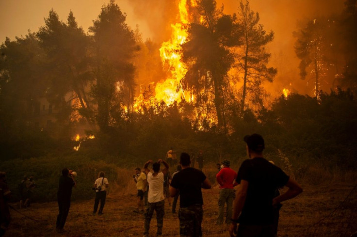 A large forest fire approaches the village of Pefki on Evia, Greece's second largest island