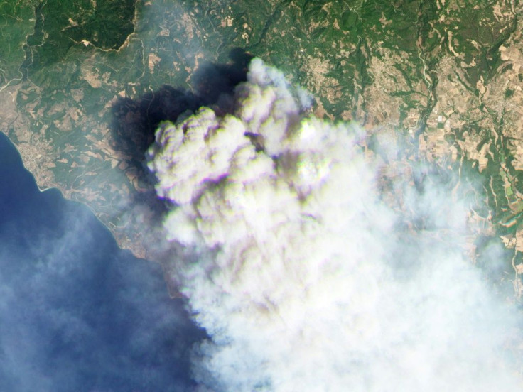 Fires on the Greek island of Evia in a satellite image taken last week
