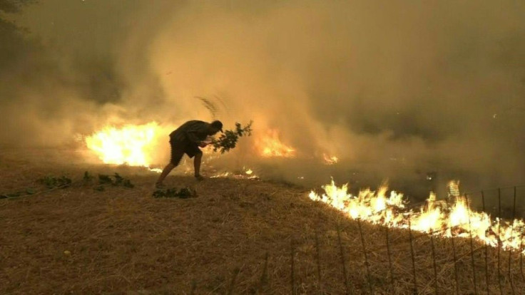 With only branches, residents of Evia island in Greece fight desperately to control wildfires that have charred vast areas of pine forest, destroyed homes and forced tourists and locals to flee.