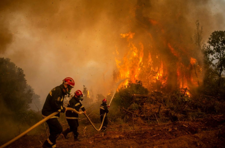Serbian firefighters use a water hose to extinguish the burning blaze of a forest fire in the village of Glatsona on Evia (Euboea) island