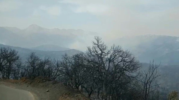 IMAGES  Smoke rises from the forested mountainside in Algeria's Kabylie region as wildfires rage amid blistering temperatures and water shortages, some 100 kilometres (60 miles) east of the capital Algiers.