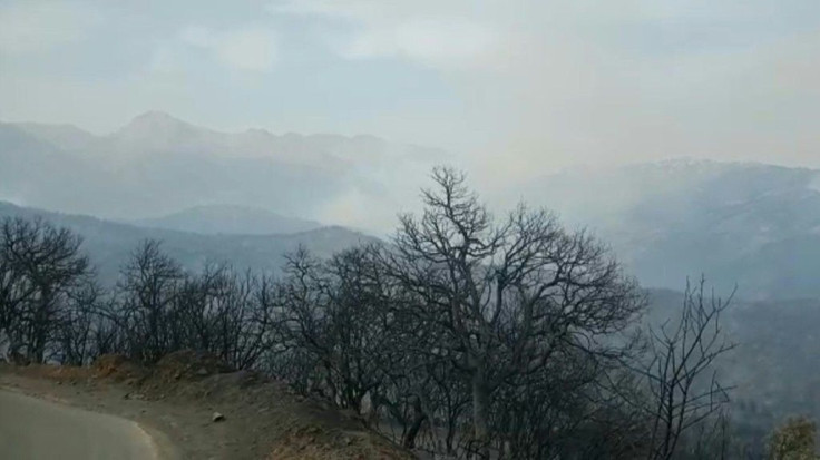 IMAGES Smoke rises from the forested mountainside in Algeria's Kabylie region as wildfires rage amid blistering temperatures and water shortages, some 100 kilometres (60 miles) east of the capital Algiers.