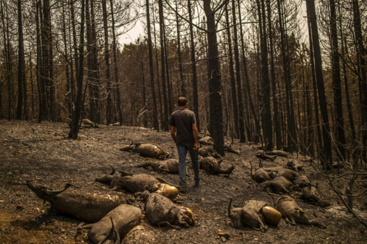 The 44-year-old farmer survived miraculously by spending hours under an irrigation water pipe, surrounded by flames