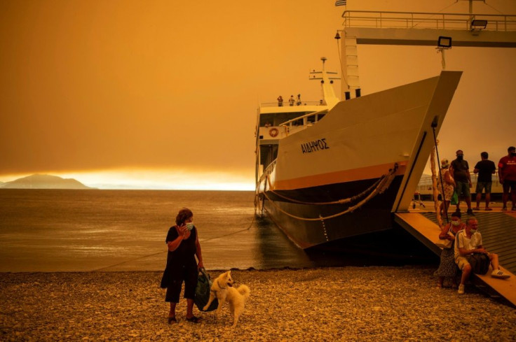 As people fled Evia, some refused to leave their pets behind