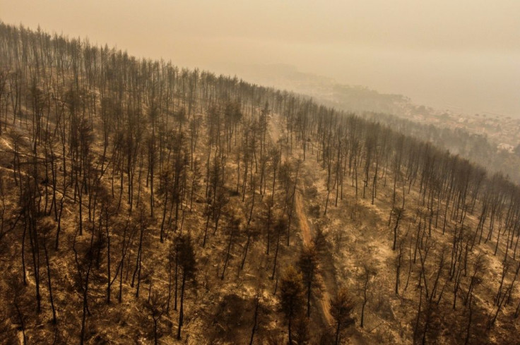 Hundreds of homes and many businesses have been destroyed by fires in Greece.
