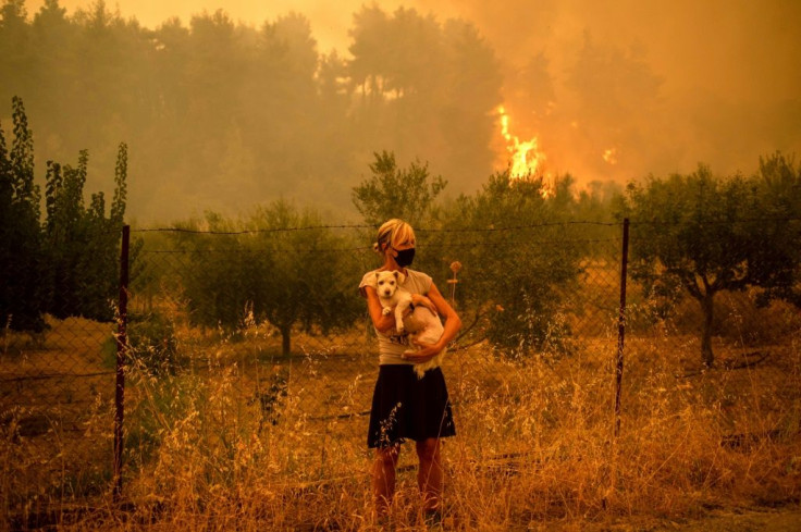 Prime Minister Kyriakos Mitsotakis has called the fires Greece's "greatest ecological disaster in decades"