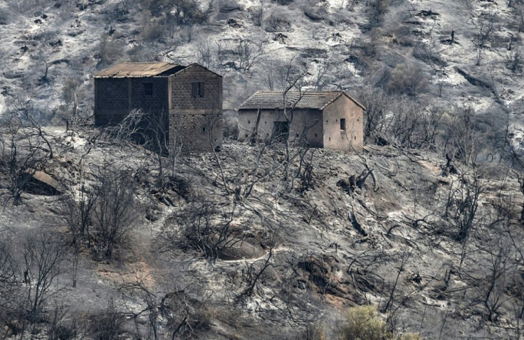 Burned houses stand amidst charred trees, on what used to be a forested hillside in Algeria's Kabylie region