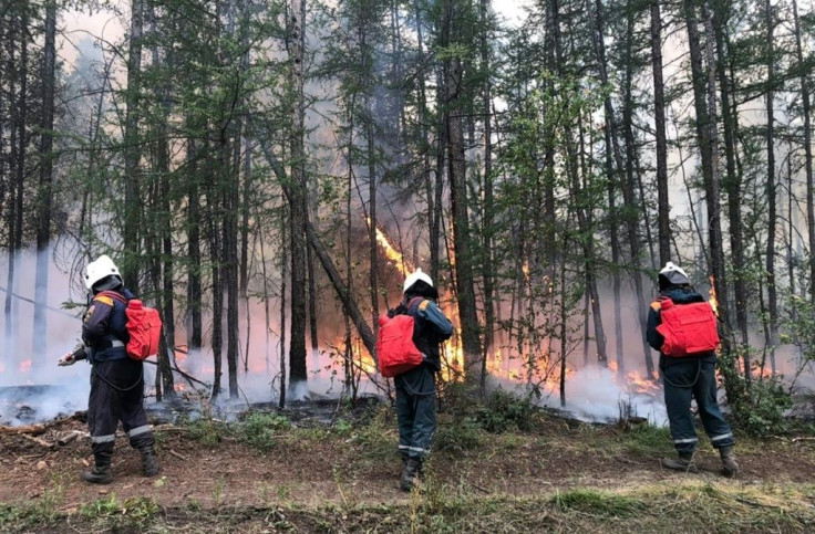 Fires in Siberia have burned with an increasing intensity in recent years