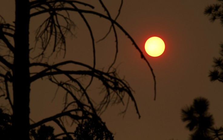 A dead tree is pictured against the sun, obscured by smoke from the Wallow Wildfire