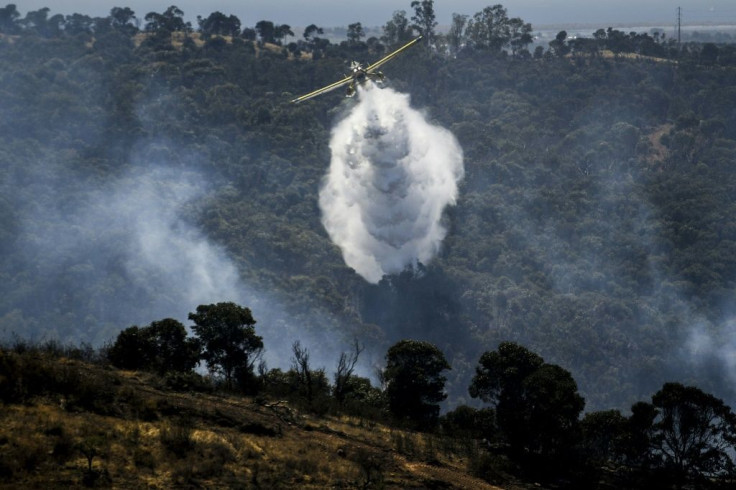 A firefighter plane tries to extinguish a wildfire near Tavira in southern Portugal.