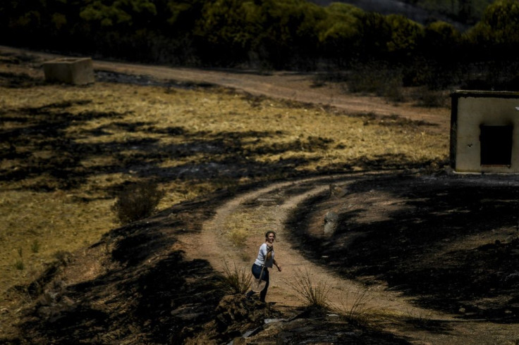 A woman carries a shovel in a field burnt overnight during a wildfire at Santa Rita in Tavira, southern Portugal.