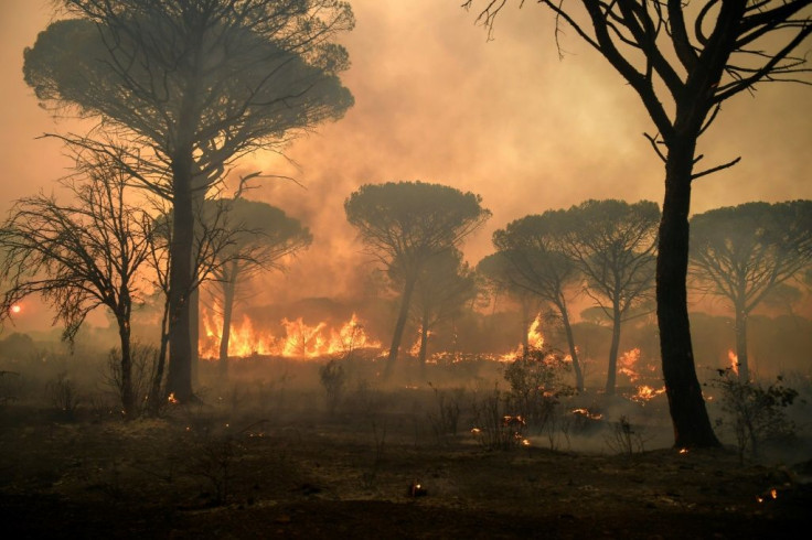 The blaze has scorched some 5,000 hectares in a region known for its forests and vineyards