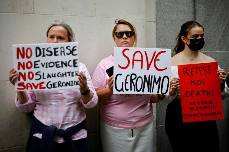 Geronimo's owner and supporters say the tests he has had for bovine tuberculosis were likely false positives
