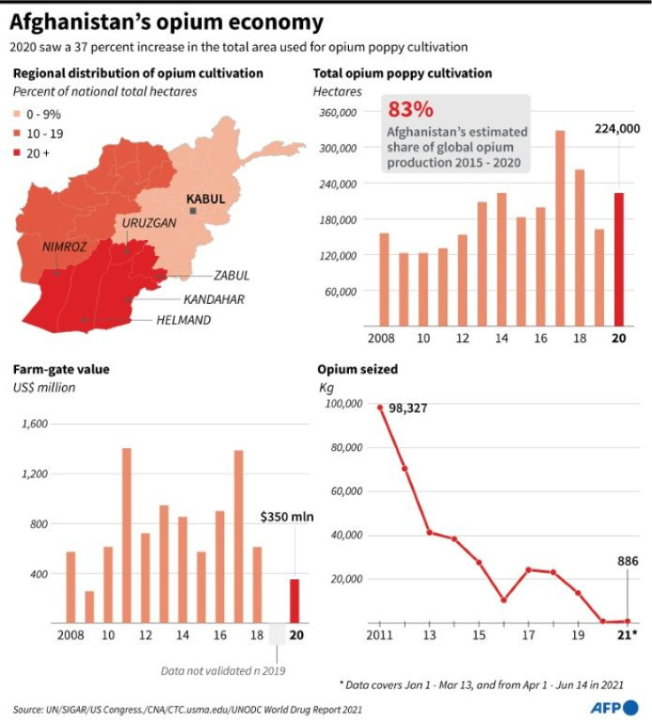 Afghanistan's opium economy