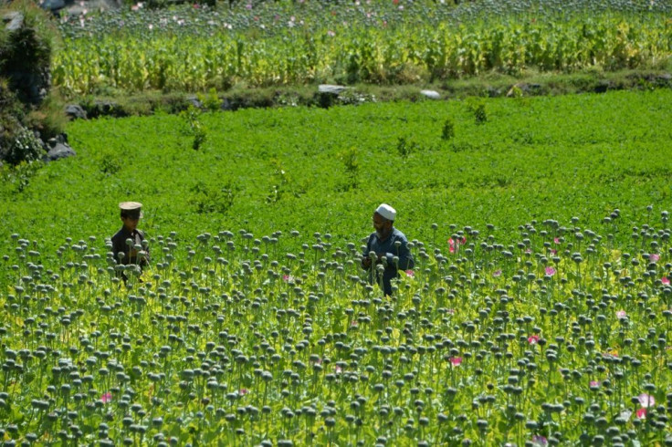 The vast majority of the world's opium and heroin comes from Afghanistan, with production and exports centred in areas controlled by the Taliban