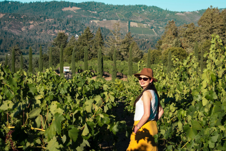 Napa Valley Gabriel Tovar