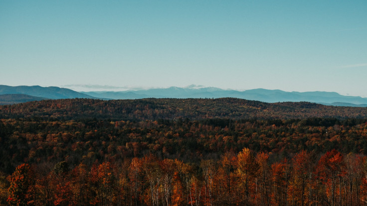 Maine Mark Olsen