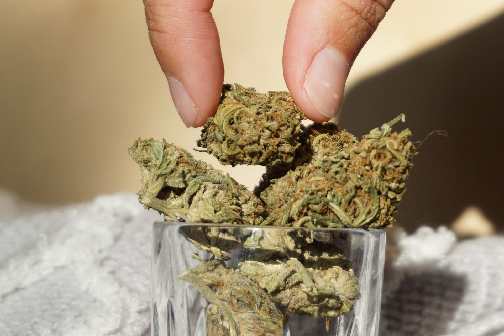 How Long Does THC (Marijuana) Stay In Your System Urine, Hair And