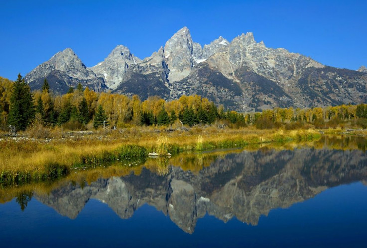 Usually held against the backdrop of the Teton Range, the annual Jackson Hole central banking symposium will be held virtually this year
