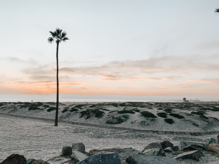 Coronado Beach, California, Derick McKinney