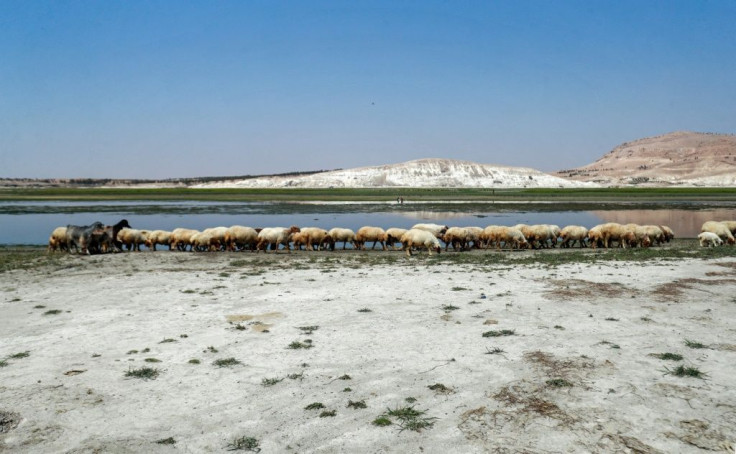 Among five million people depending on the Euphrates for drinking water, more and more families are ingesting liquid that is unsafe