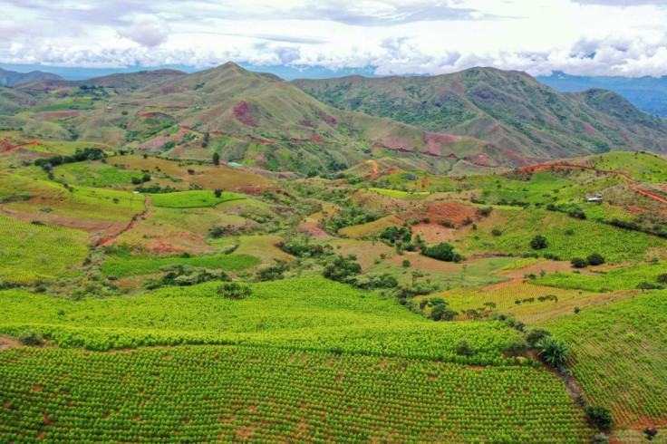 The "coca economy" in Cauca helps to sustain local communities but locals say the Colombian government does not distinguish between the farmers and the drug traffickers