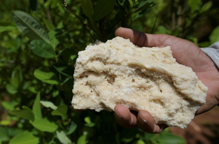 A man holds a chunk of coca paste at a makeshift lab in Colombia's Cauca department -- the peasants help make the base ingredient for cocaine, but they say intermediaries take it to drug traffickers, and they are not to blame for where it ends up