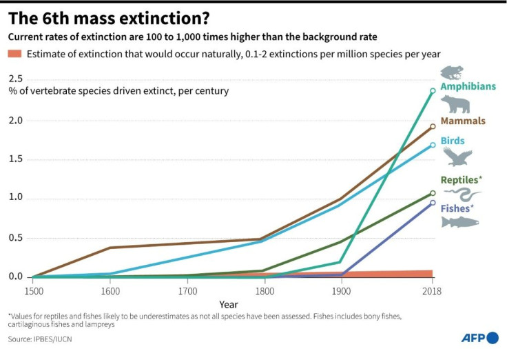 Current extinction rates are 100 to 1,000 times greater than the normal 'background' rate
