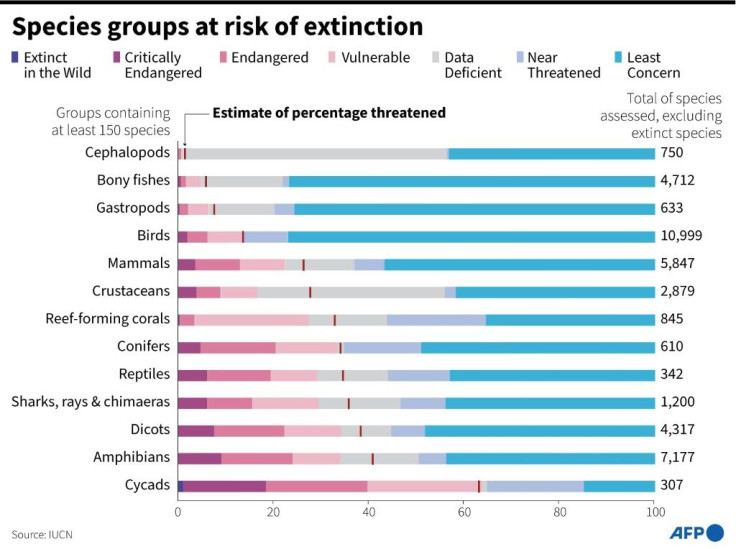 Current global extinction risk in different species groups, according to the IUCN