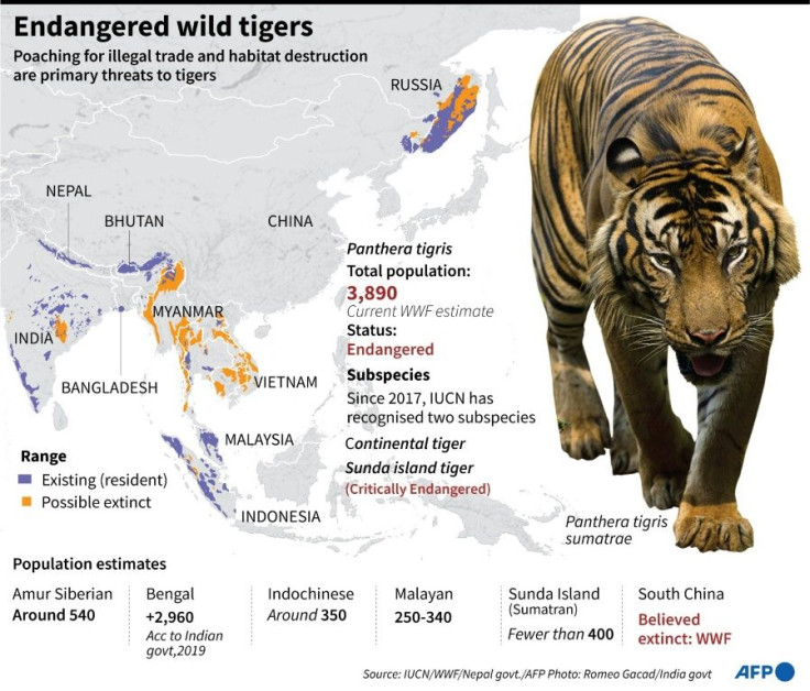 Factfile on wild tiger population and range.