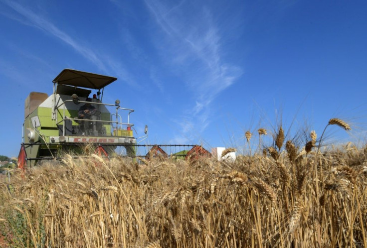 A Tunisian farmer harvests wheat in the Jedaida region, some 30 kilometres (18 miles) northwest of the capital Tunis