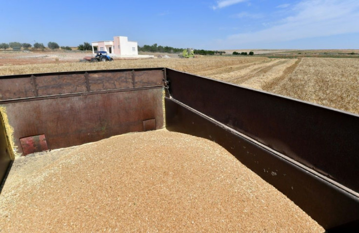 The UN's Food and Agriculture Organization estimates that over the past century, around three quarters of the diversity in world crops has disappeared