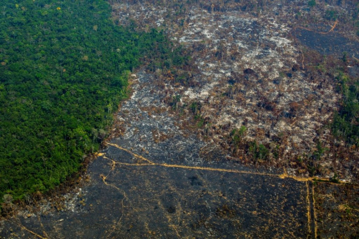 Critics of natural capital say legislation and not financial incentive will work best to protect remaining ecosystems