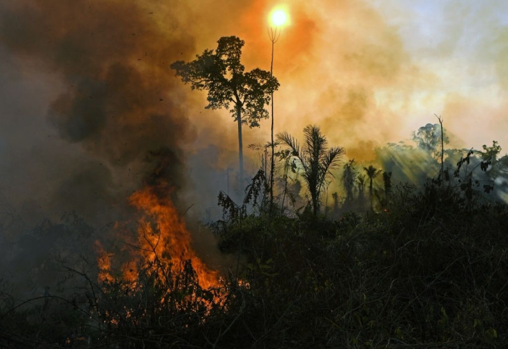 Smoke and flames rise from a fire in the Amazon rainforest in August 2020